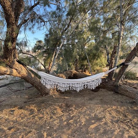 Casa Agave: Comfy Joshua Tree Cottage With Free Breakfast Bar Exteriér fotografie