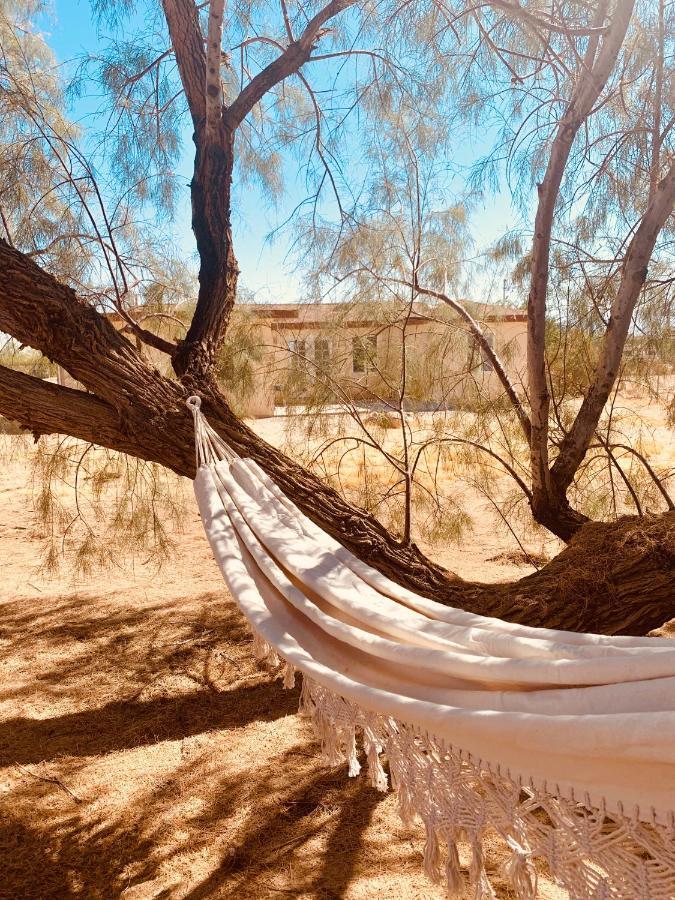 Casa Agave: Comfy Joshua Tree Cottage With Free Breakfast Bar Exteriér fotografie