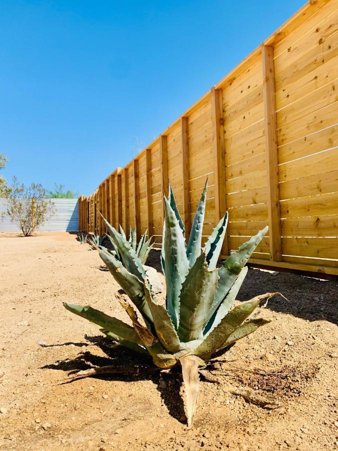 Casa Agave: Comfy Joshua Tree Cottage With Free Breakfast Bar Exteriér fotografie