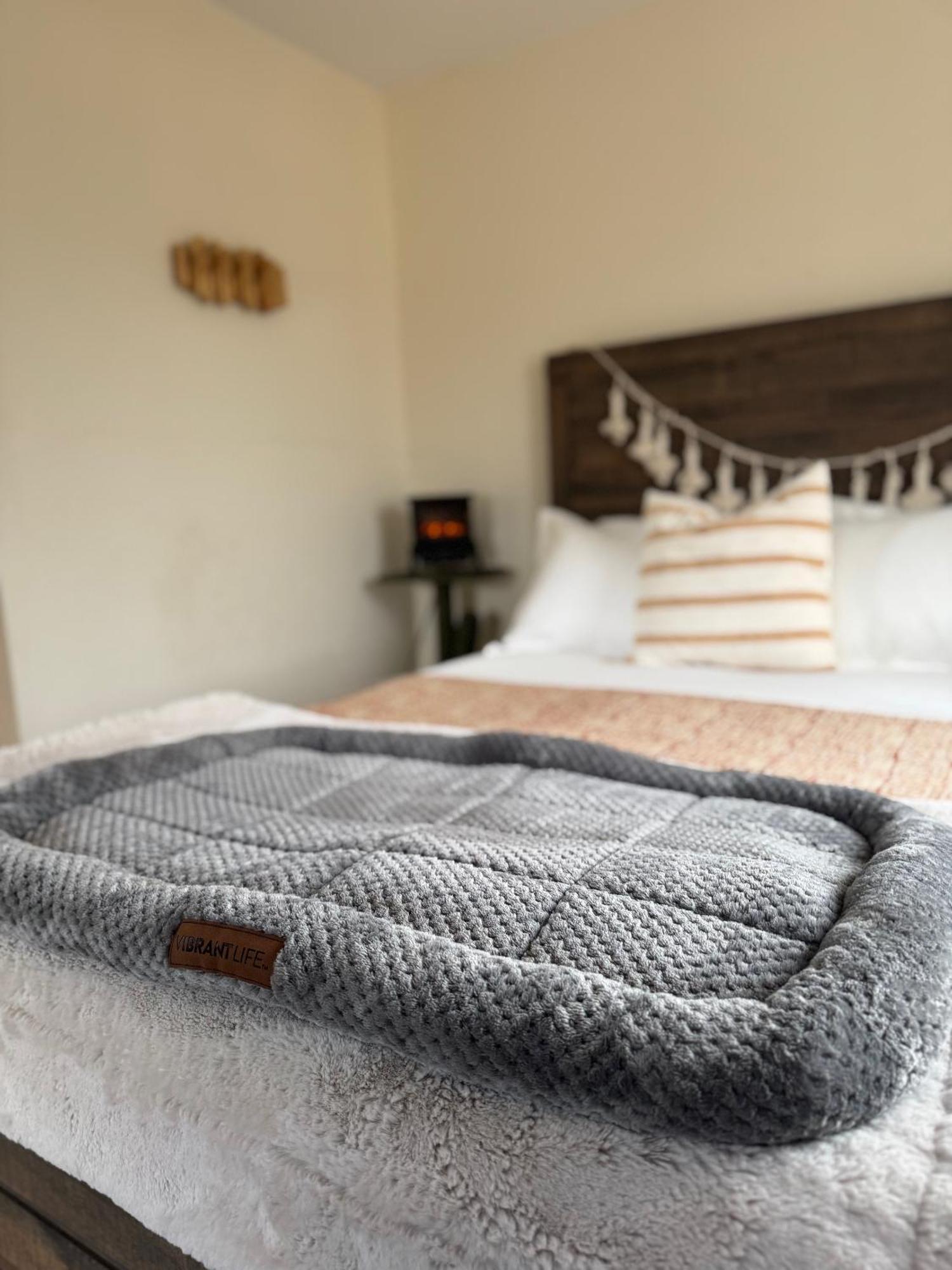 Casa Agave: Comfy Joshua Tree Cottage With Free Breakfast Bar Exteriér fotografie
