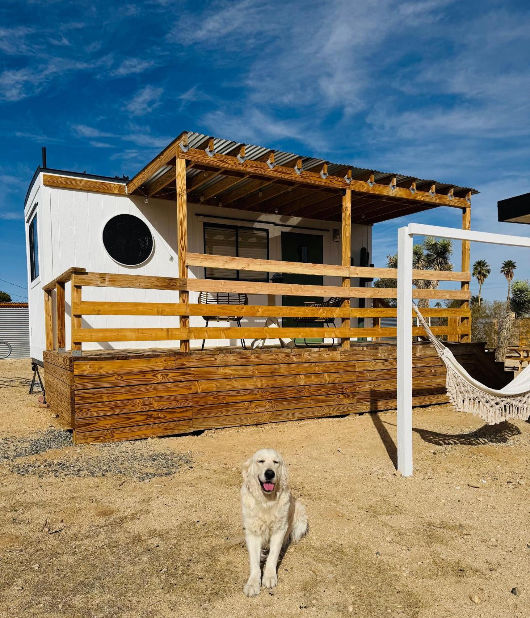 Casa Agave: Comfy Joshua Tree Cottage With Free Breakfast Bar Exteriér fotografie